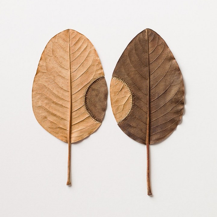 Leaf Art精致的树叶雕塑设计