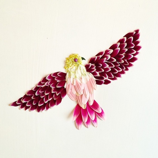Bridget Beth Collins花的艺术